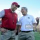 cy-hawk series