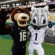 TCU and Baylor mascots