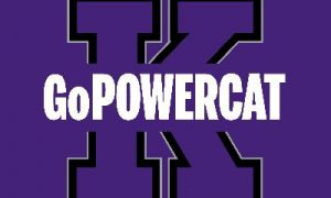 gopowercat
