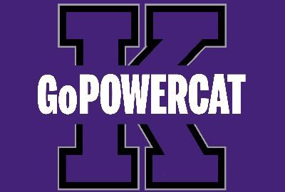 gopowercat