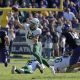 NCAA Football: Baylor at Texas Christian