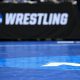 NCAA Wrestling: Wrestling Championships