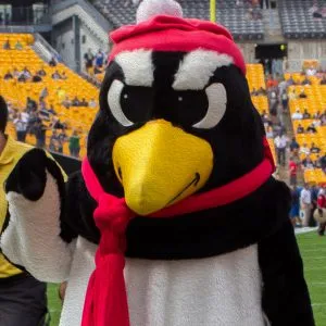Youngstown State Penguins mascot