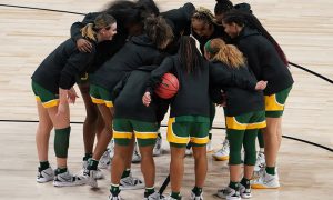 NCAA Womens Basketball: Elite Eight-Baylor at Connecticut