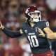 Sep 7, 2024; Pullman, Washington, USA; Washington State Cougars quarterback John Mateer (10) throws a pass against the Texas Tech Red Raiders in the first half at Gesa Field at Martin Stadium. Mandatory Credit: James Snook-Imagn Images