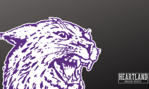 Kansas State generic logo picture