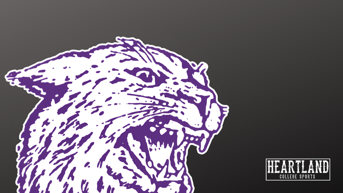 Kansas State generic logo picture
