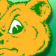 Baylor Bears Logo for Heartland College Sports - Green Background